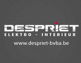 Despriet bvba - Huisstijl